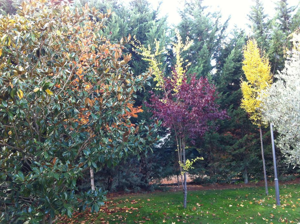 Vila La Alberca Palencia Exteriér fotografie